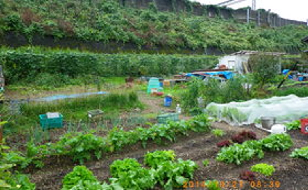 HPにお名前を掲載致します。