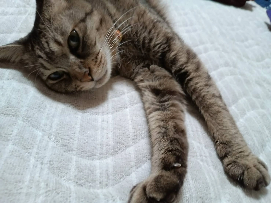 9月16日＜投薬69日目＞