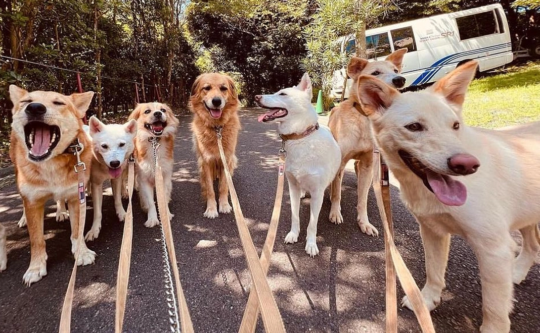 毎月100000円コース