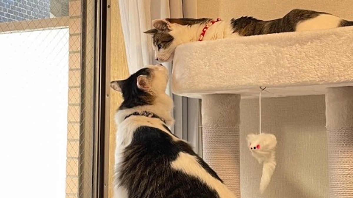 残り５日となりました！！ご協力をよろしくお願いいたします！！！