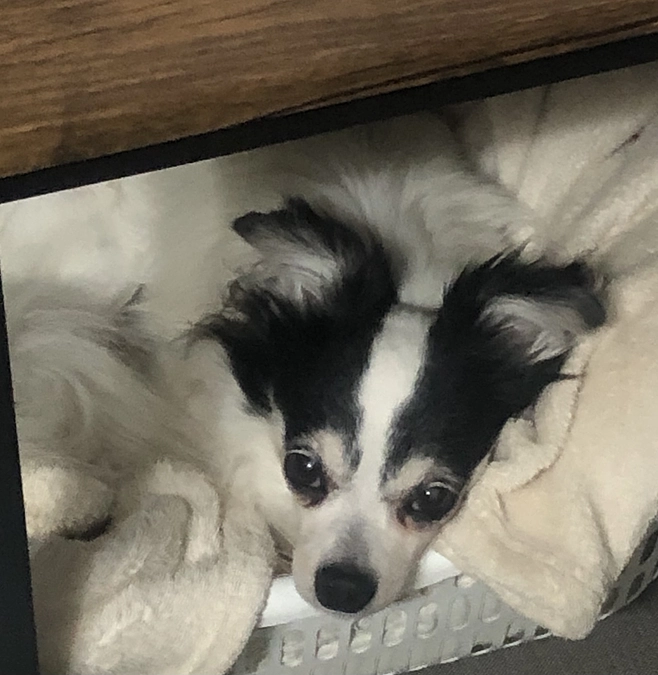 現在16名の皆様にご支援頂いています