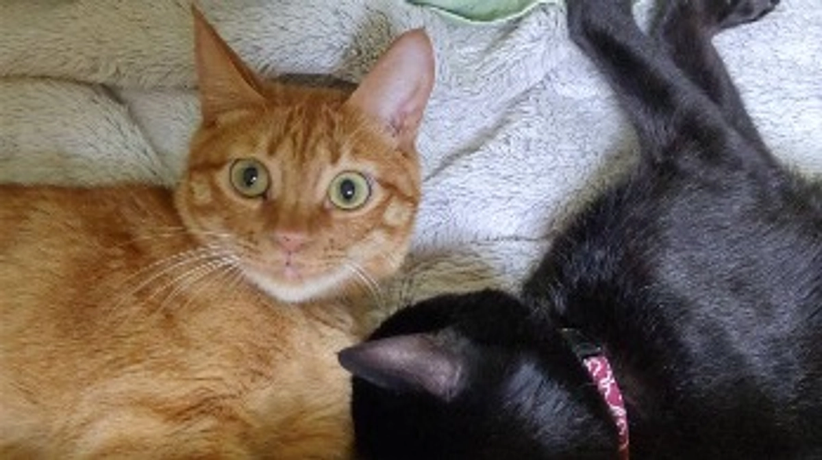 4回目の月命日でした