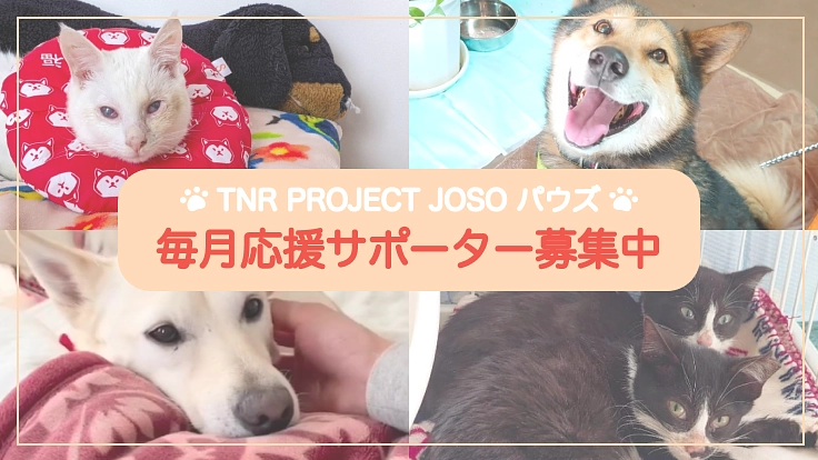 毎月応援サポーター☆ 幸せを繋ぐまで継続的なご支援をお願いします。