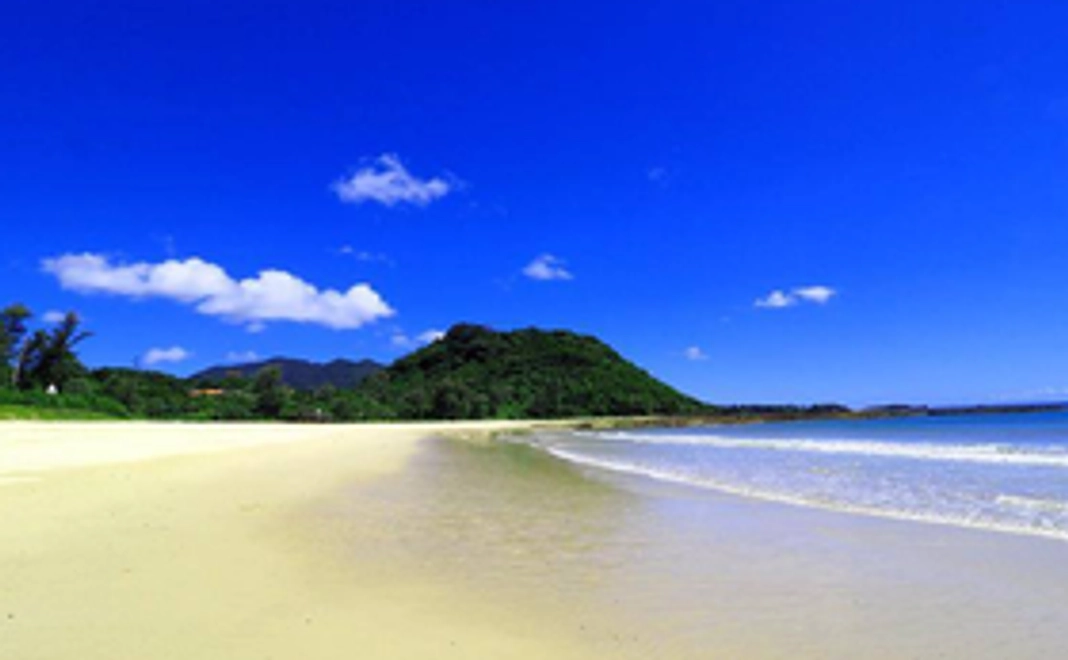 徳之島の特産品コース