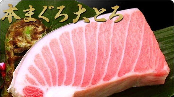 コロナでおいしい本マグロの赤身、中とろ、大トロがあまっております！