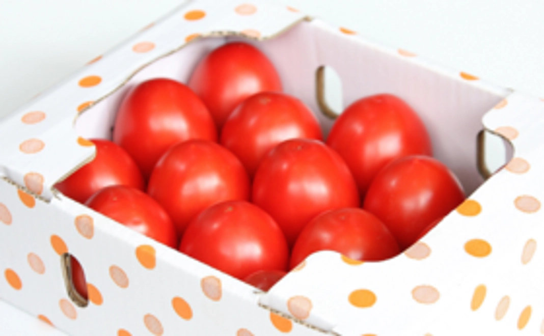 加熱用トマト（小箱）
