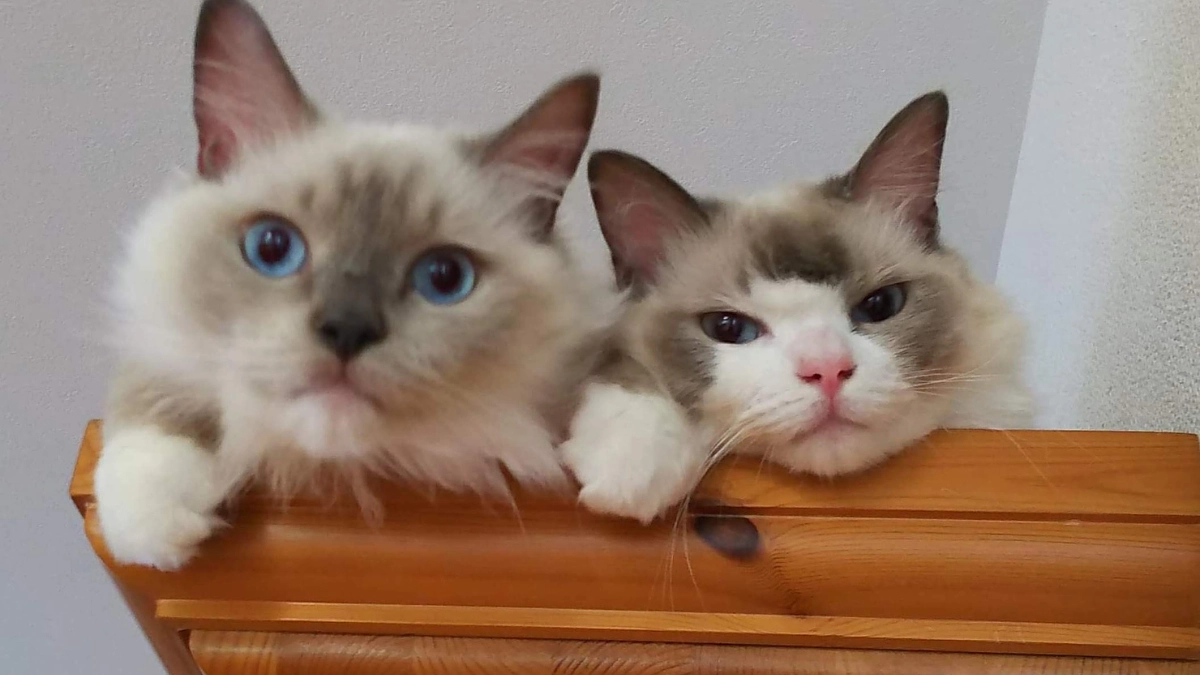 まちの遊民社様より応援メッセージをいただきました！