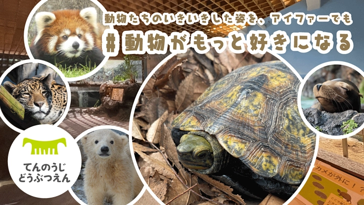 動物園がもっと好きになる。水辺の生物たちと再会できる場所づくりを