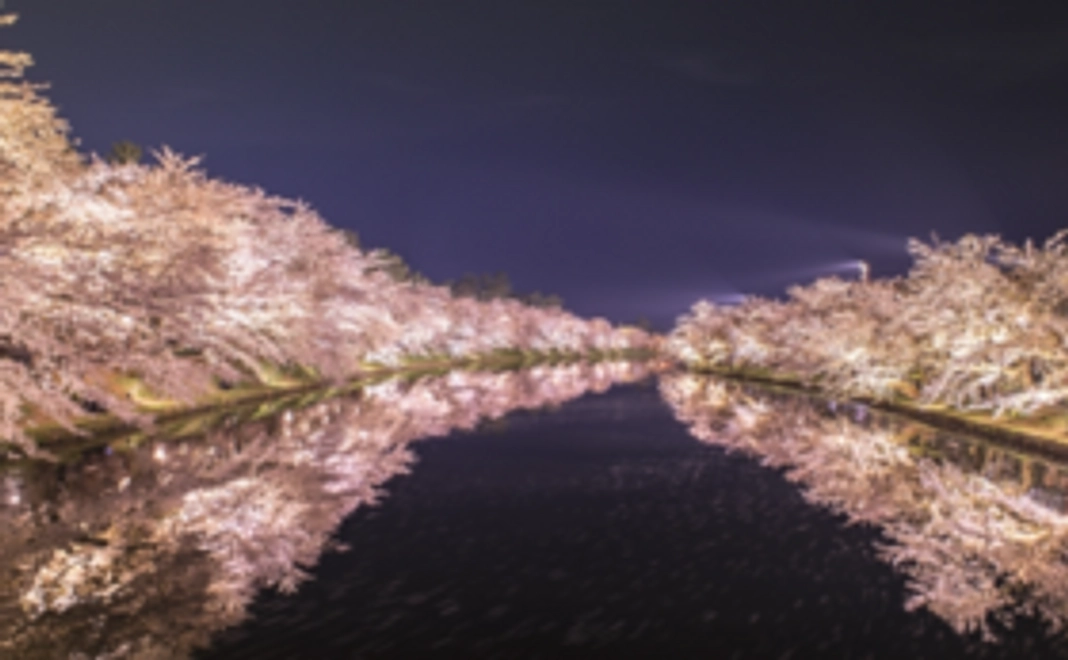 ポストカード (3枚)