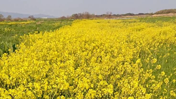 新政党へ！「日本製塾」を全国６か所で開催！日本製を守りたい！！