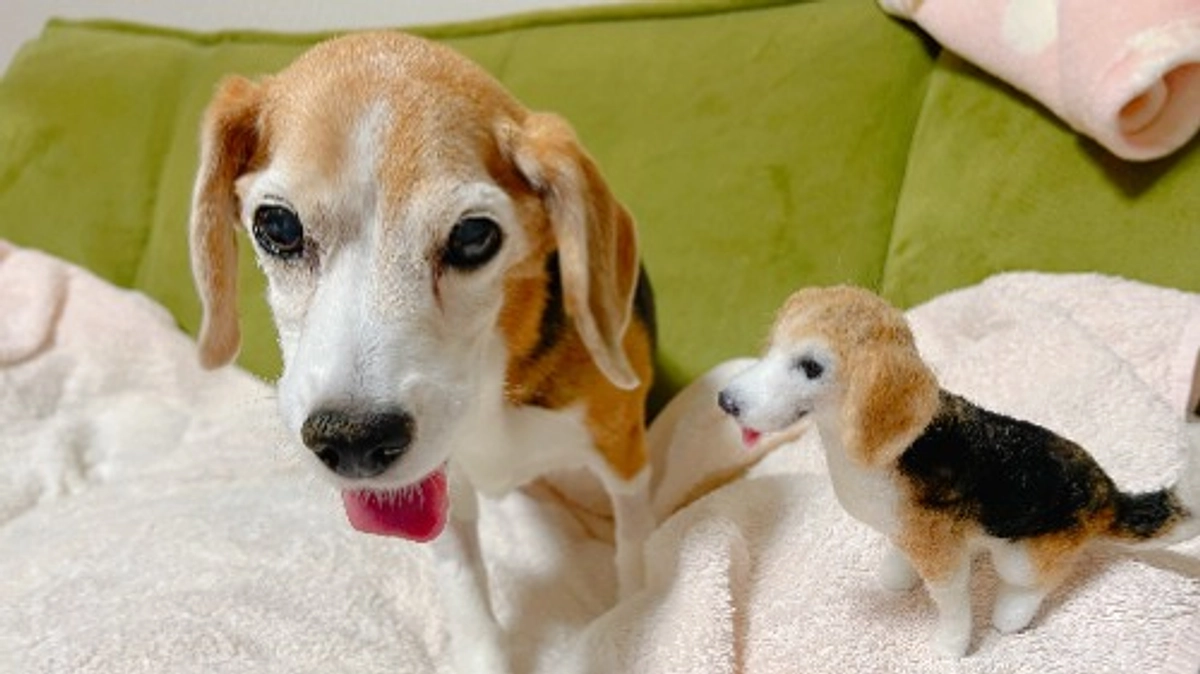 10/26 ちびっこの一進一退、私の一喜一憂。