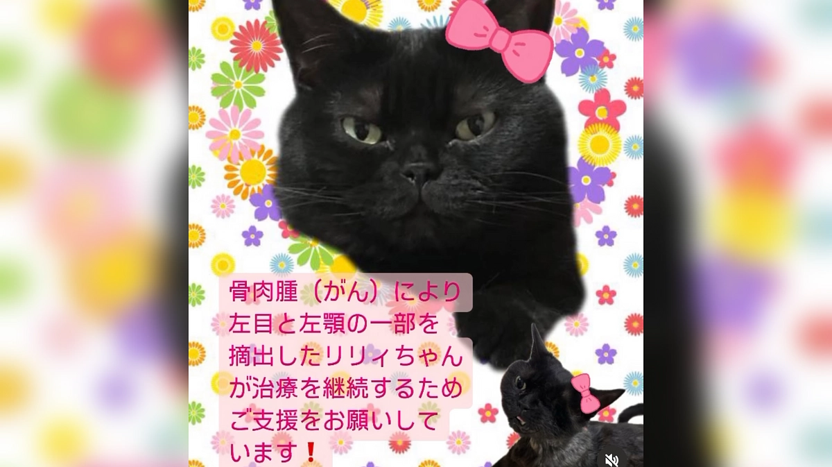 🆘🆘残り7日🙀ラスト1週間となりました🆘🆘