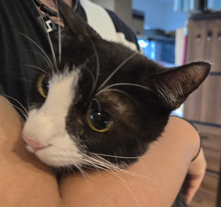 体重が増えてきている　ハッチ！