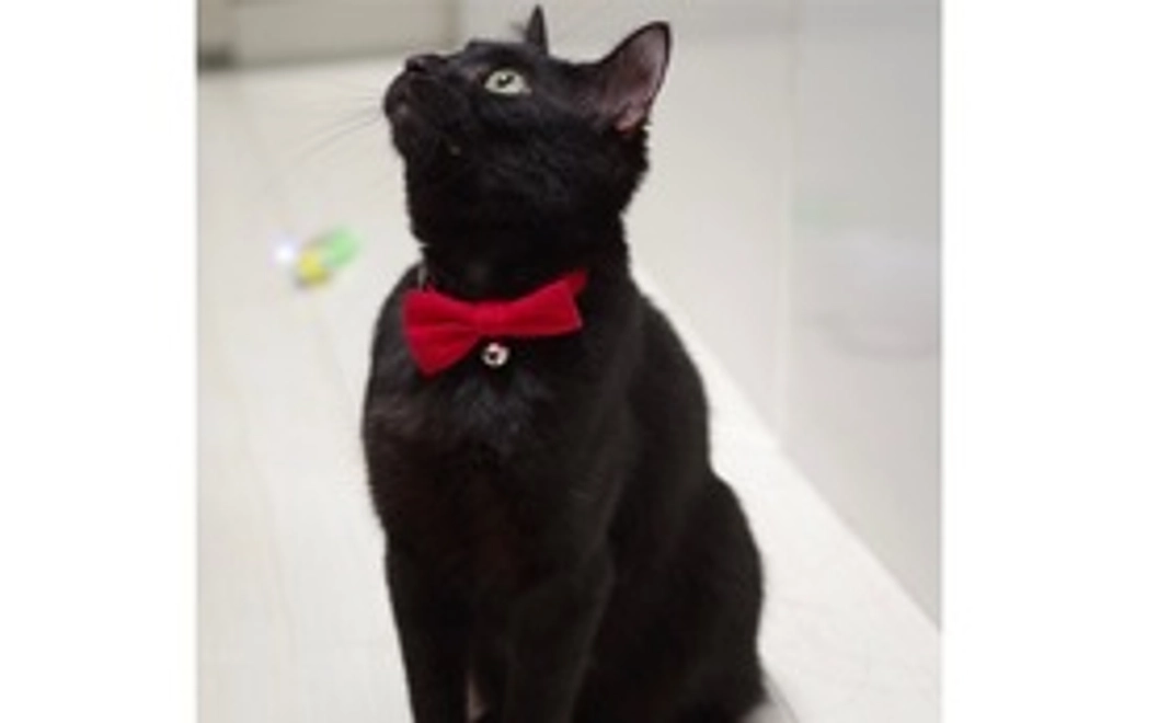 感謝のお手紙と写真