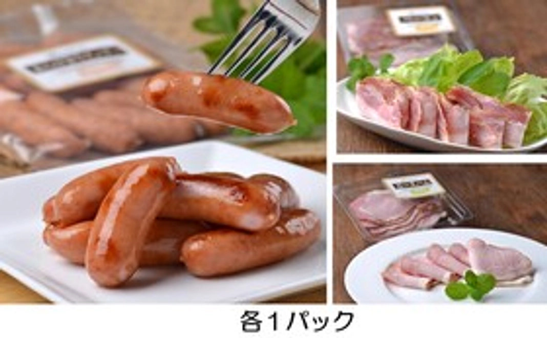 エサから庄内産の ”山形大学ブランドの豚肉加工品” 1セットとプロジェクトの紹介冊子をお届けします