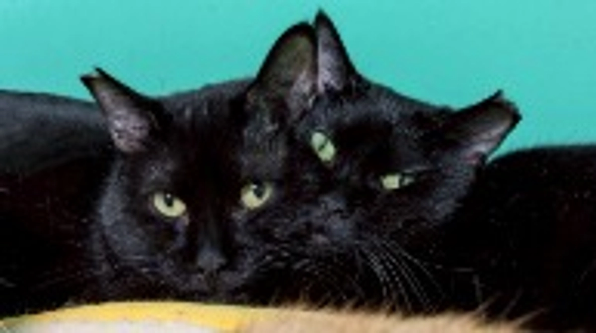 🌸4月活動報告です