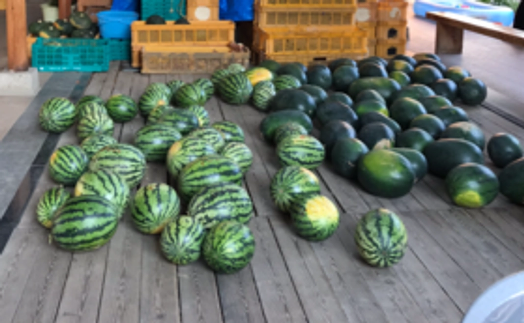 【信州に遊びに来れない方オススメ】信州産果物&野菜