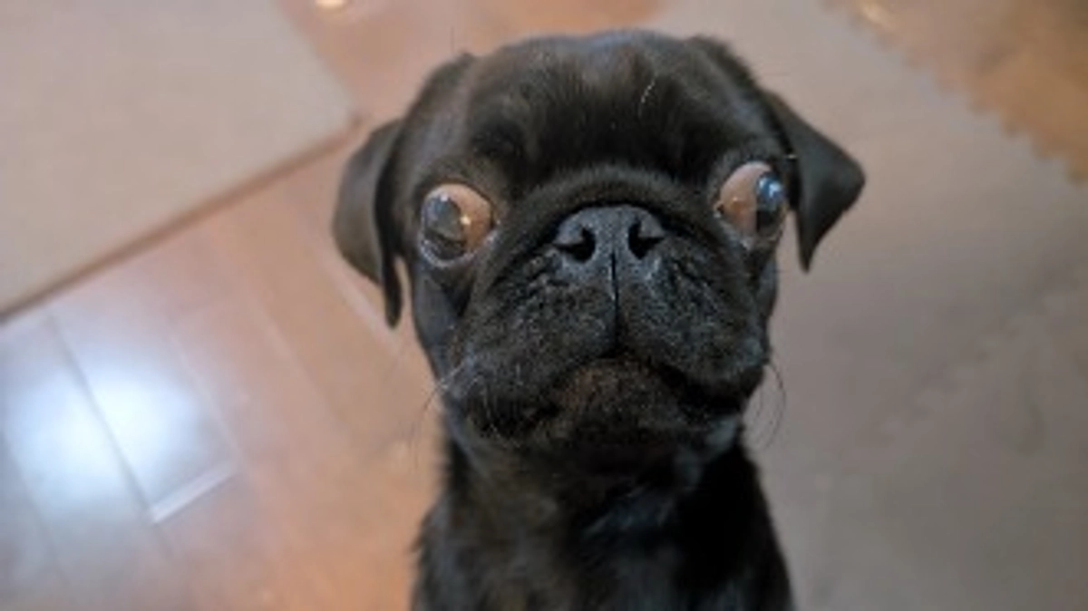 【術後経過のご報告】入院4日目・術後53時間経過