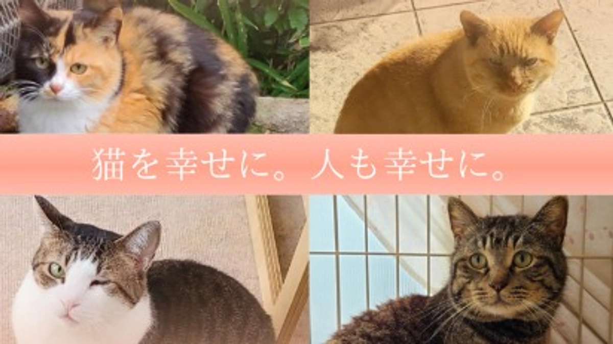 クラウドファンディングを公開いたしました。