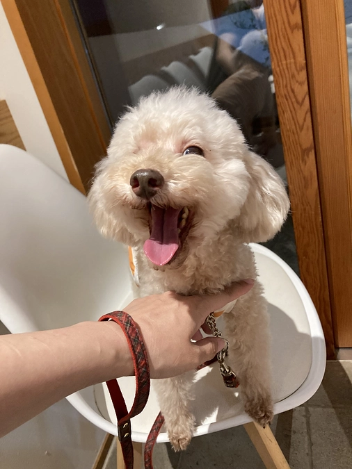 病院に行ってきました！