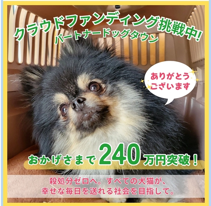 【達成率80％へ！240万円を超えました！】理事長、望月の動物愛護にかける想い