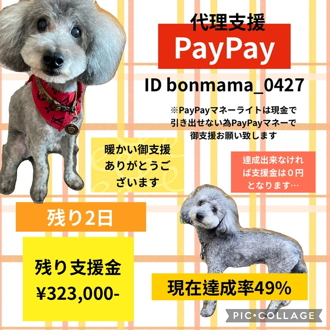 代理支援について