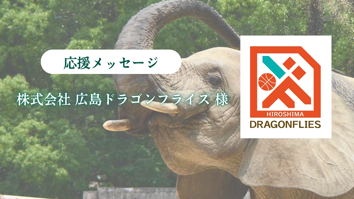 株式会社 広島ドラゴンフライズ 様からの応援メッセージが届きました！