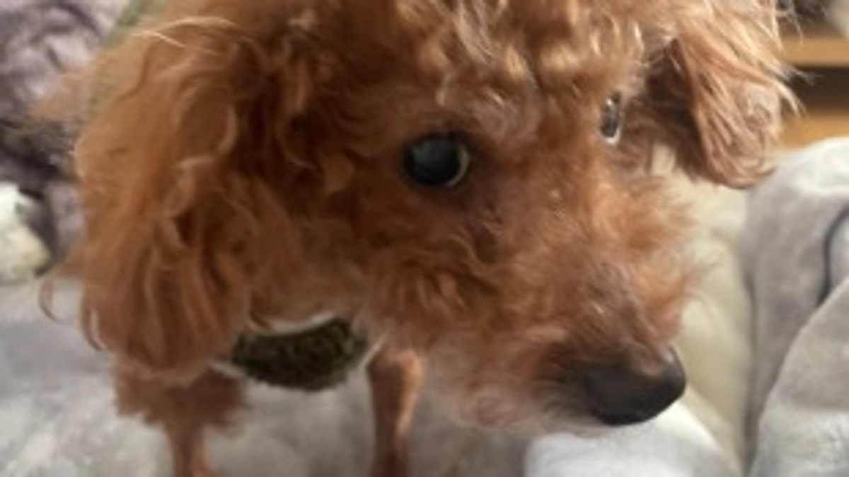 本日最終です。