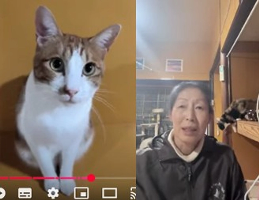 コレコレチャンネルのリスナー及びご支援して下さった皆様へ