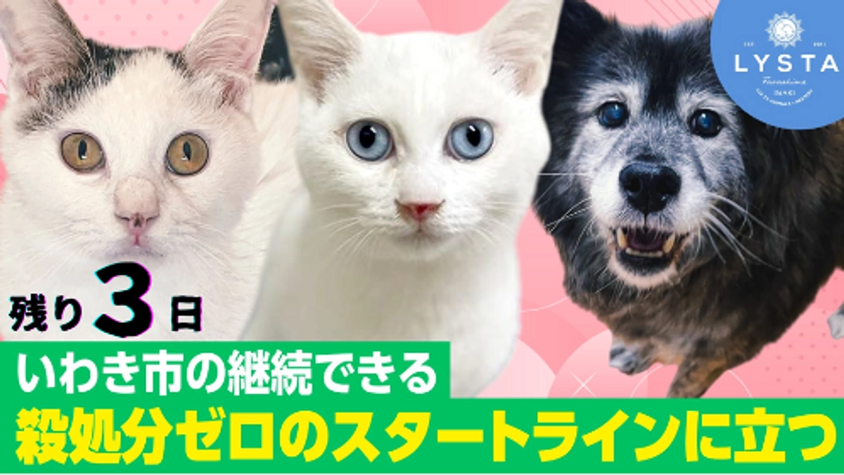 残り３日！一般譲渡が難しい子たちの終生飼養のおうちとして
