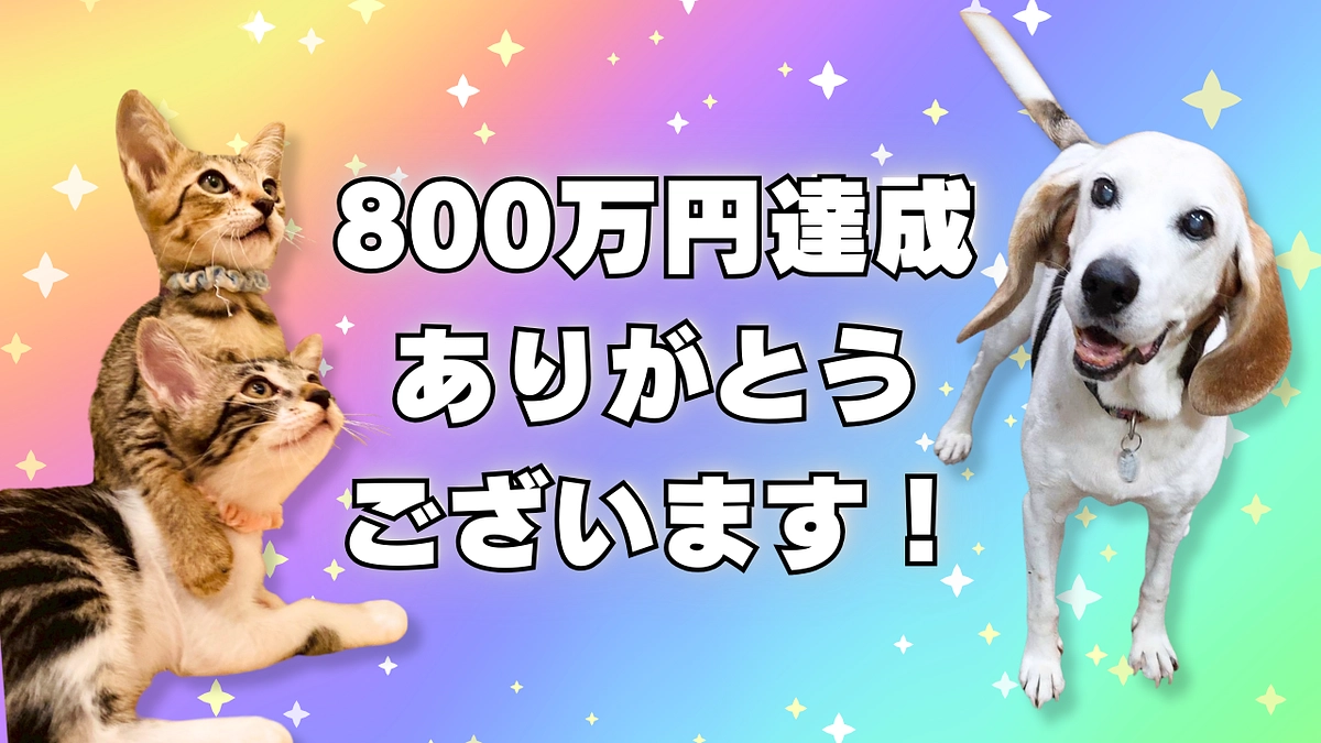 🌸800万円達成ありがとうございます！！🌸
