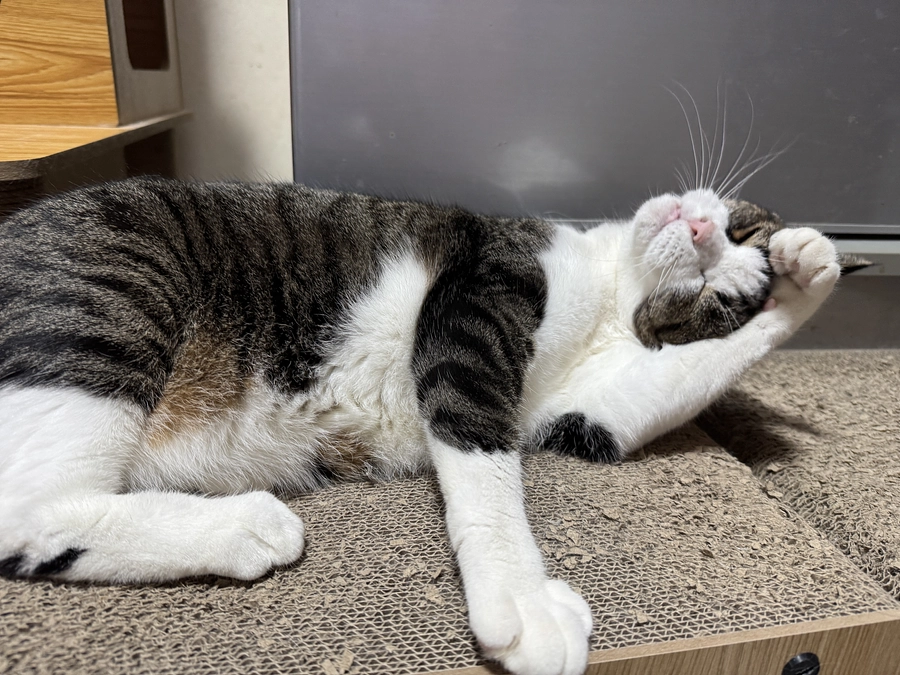 残暑お見舞い申し上げます