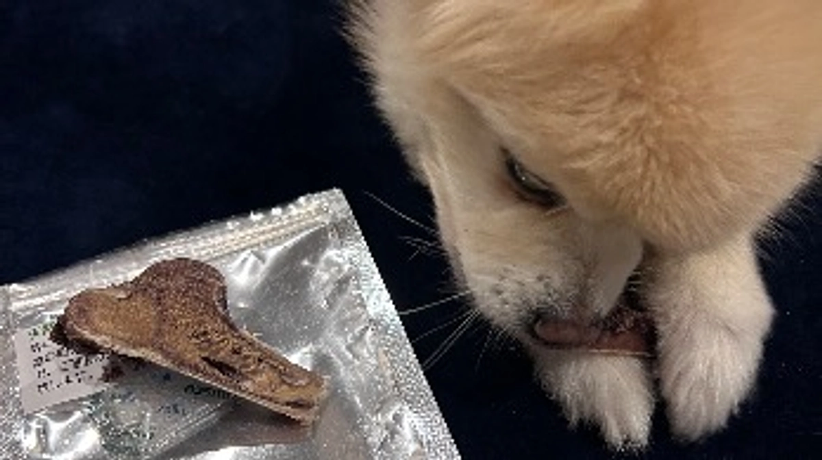 11/59 ☆ 室内でのクッキー