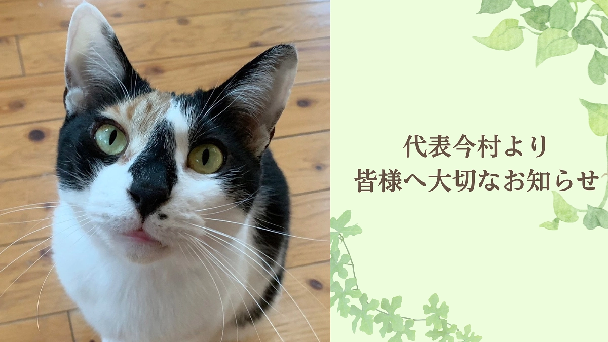 【大切なお知らせ】厳しい状況の中でも、希望をもって進んでいます。再出発にかける思い