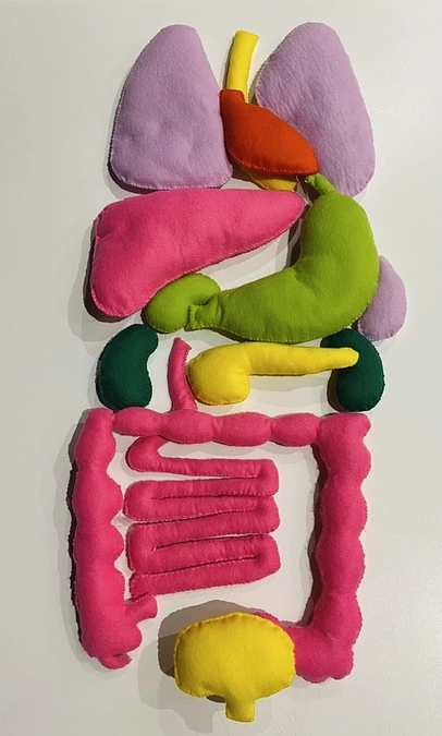 【臓器パズルが完成しました】