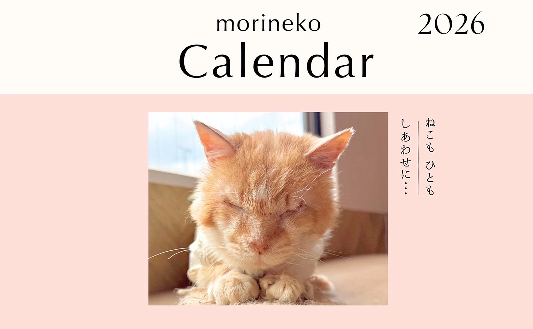 NPO法人もりねこオリジナル壁掛けカレンダー・2026年最新版