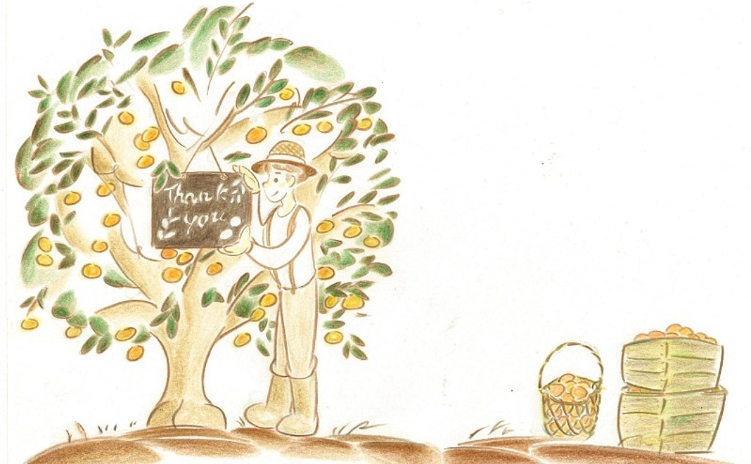 みかんオーナー権（500,000円）