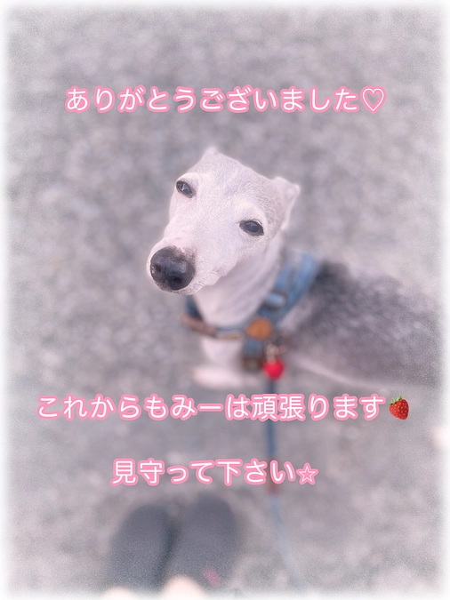 皆様、有難う御座いました❗️🙇‍♀️✨