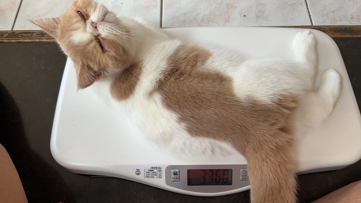 クラウドファンディング挑戦を通じてお伝えしたい気持ち