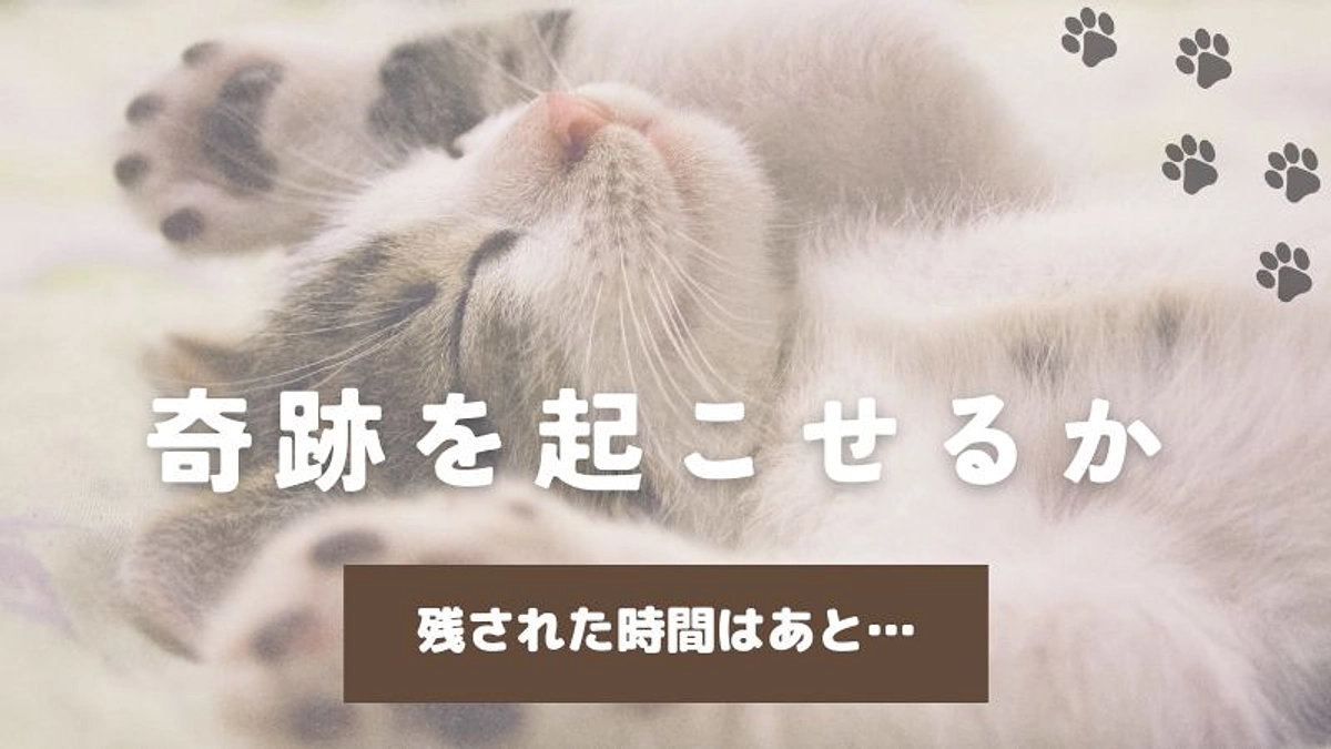 残り3日を切りとうとう時間表示に…