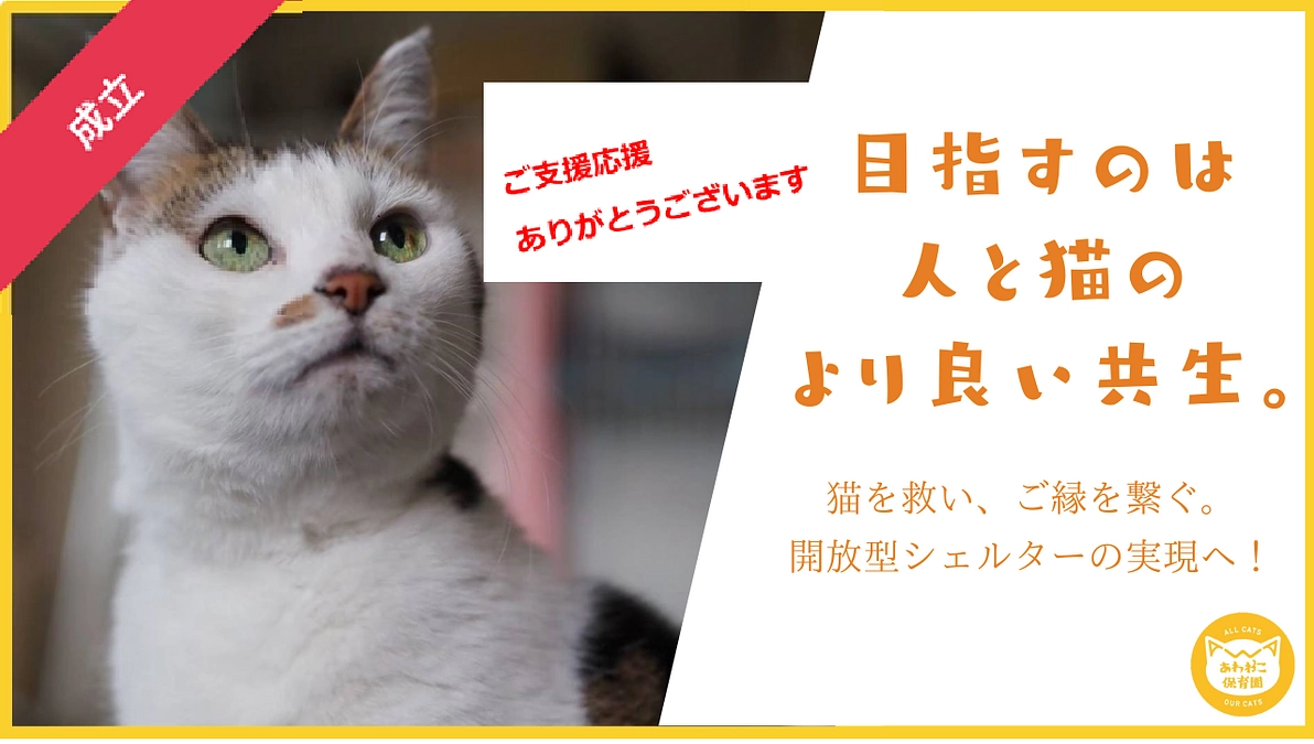 お礼を申し上げるのが遅くなってしまいました