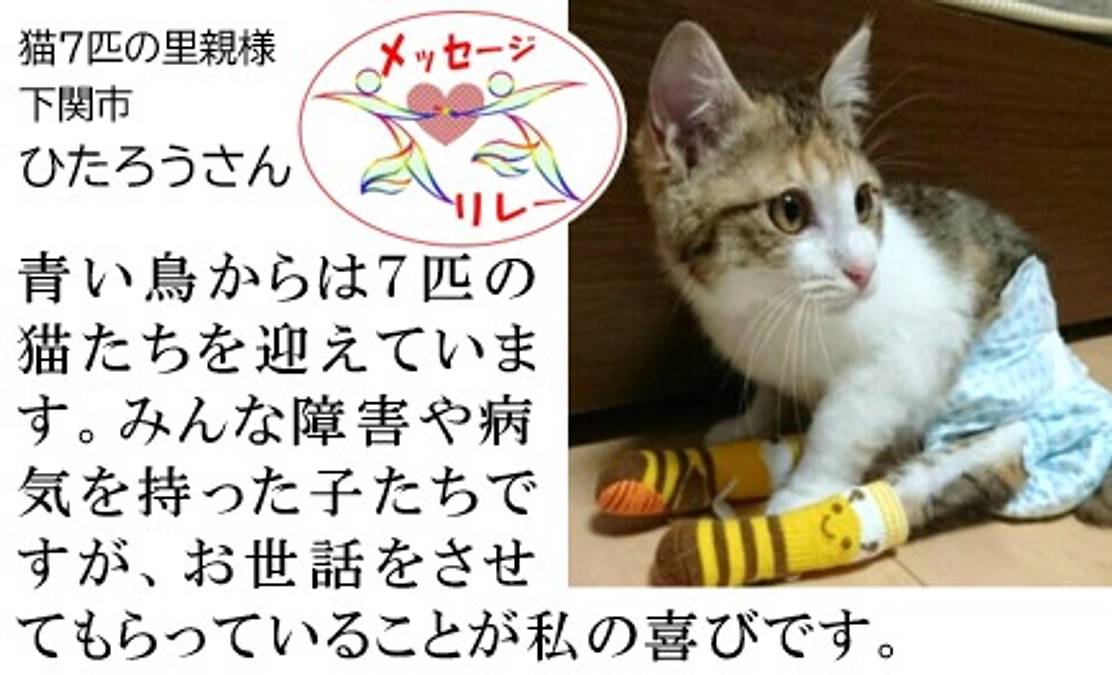 リレー２３．ハンディキャップがあっても、１匹１匹が尊い、かけがえのない命です。