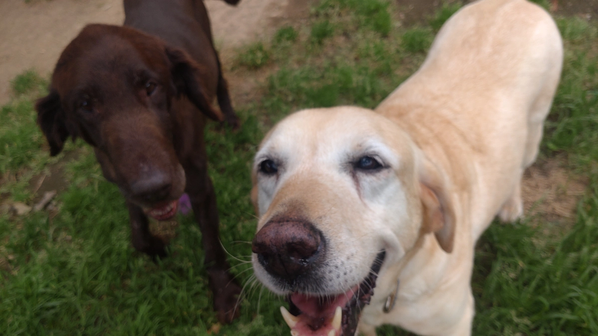 活動継続のために、プロジェクトを立ち上げさせていただきました