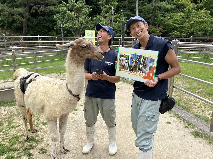 【活動報告59】プロジェクト終了まであと５日！！カウントダウンで繋ぐ熱い思い（大動物担当まつくん）