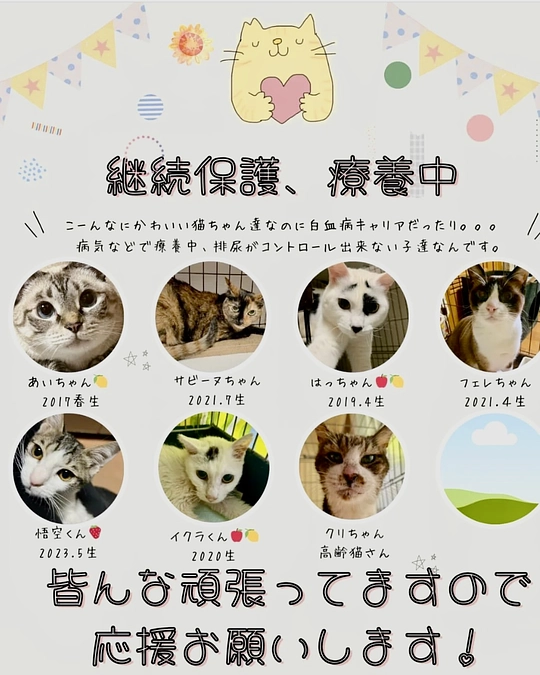 どんな子達も皆んな可愛い保護っ子たちです❤️