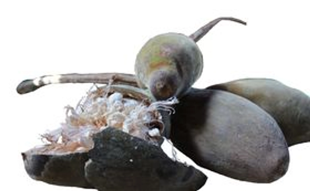 高級天然無添加肌ケア―セット