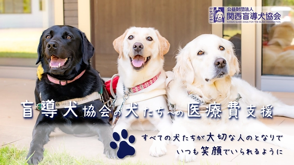 本年度のクラウドファンディングのお知らせ（２０２５／０７／０８）