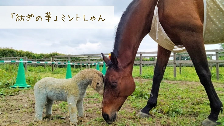 馬のための場所を守りたい。心身のケアが必要な馬達にも幸せな生涯を 4枚目
