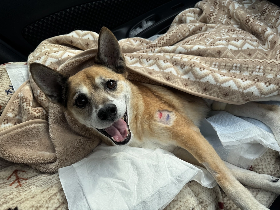 12/13 ☢️放射線治療10回目☢️