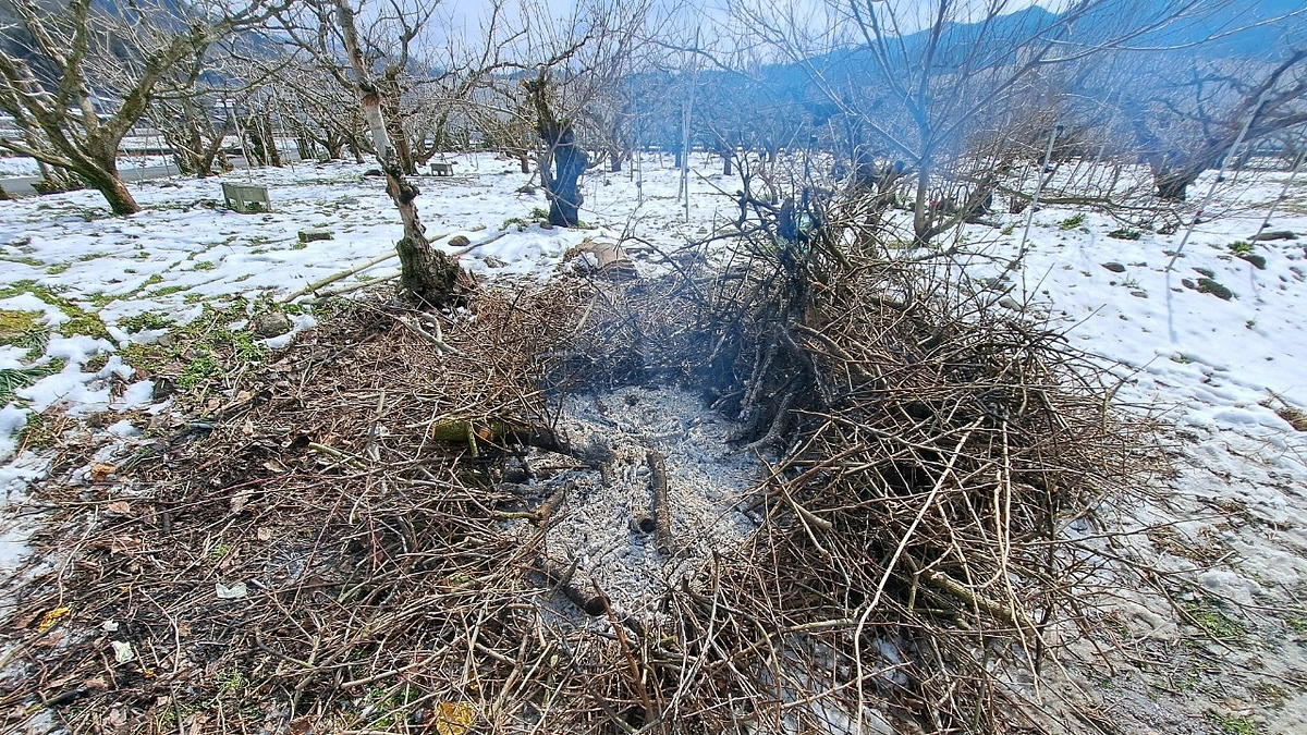 学生団体「結梨」の農作業の1日をお見せします！